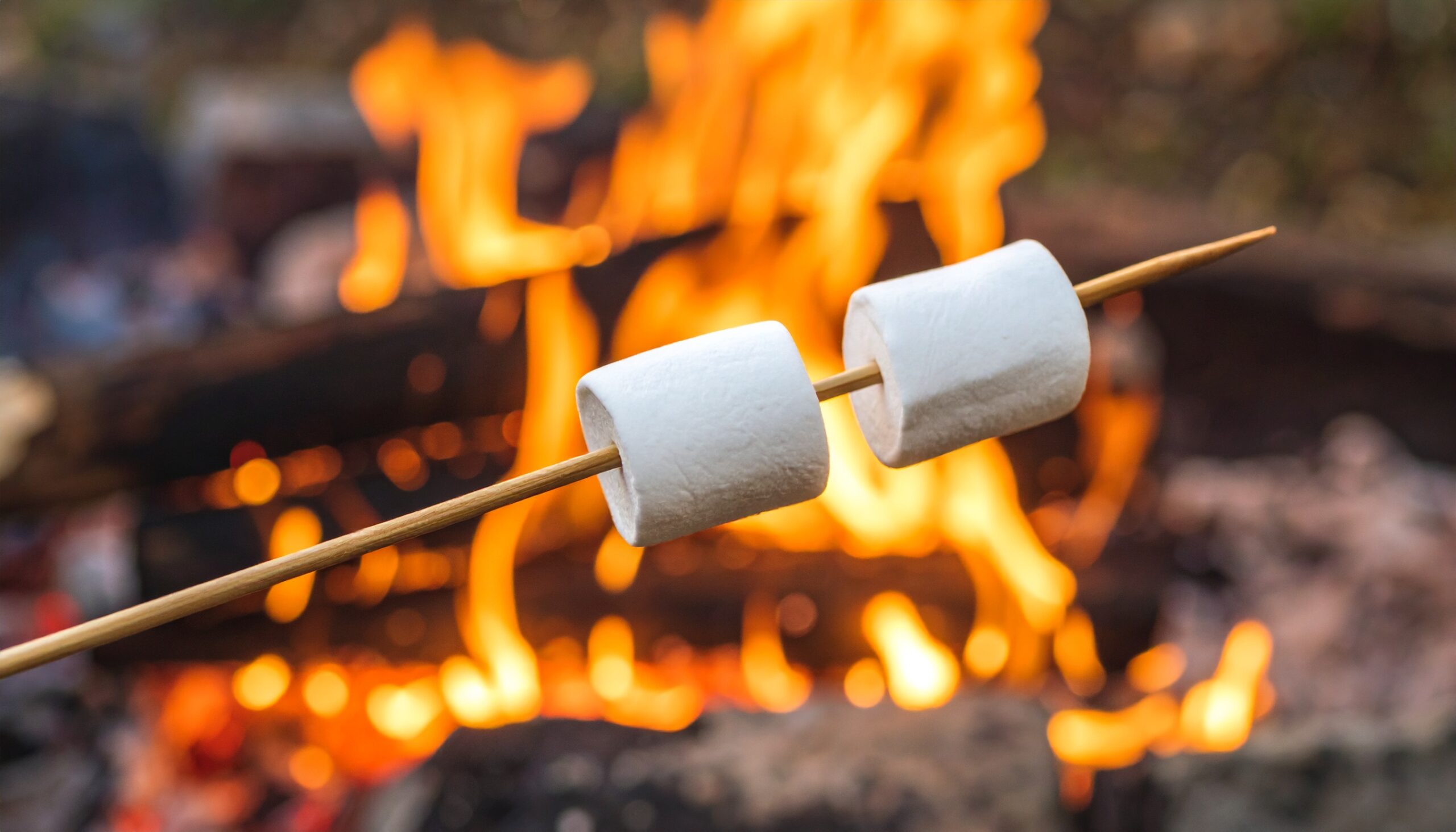 Firefly_image of a campsite campfire in background and smoldering marshmellow on a stick in t 835200